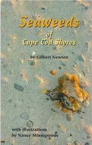 The proceeds of all of Gil Newton's books go to the Barnstable Land Trust.
